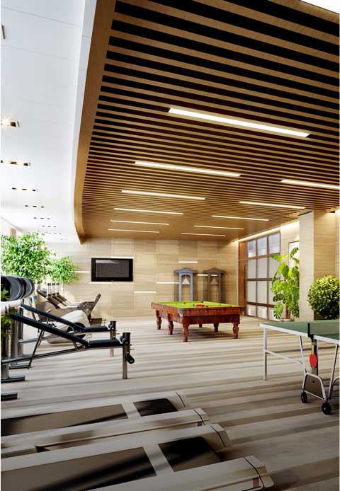 Sauna Heater for Fitness Center